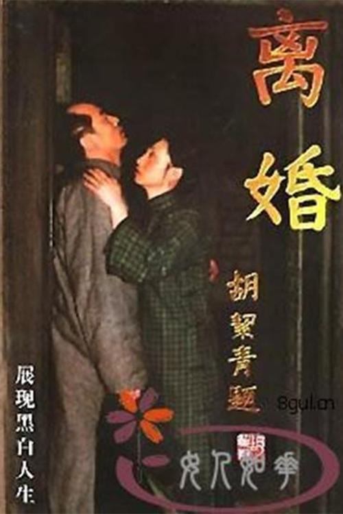 Poster de 离婚