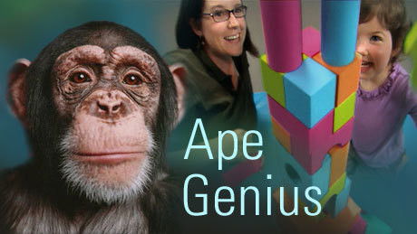 Ape Genius
