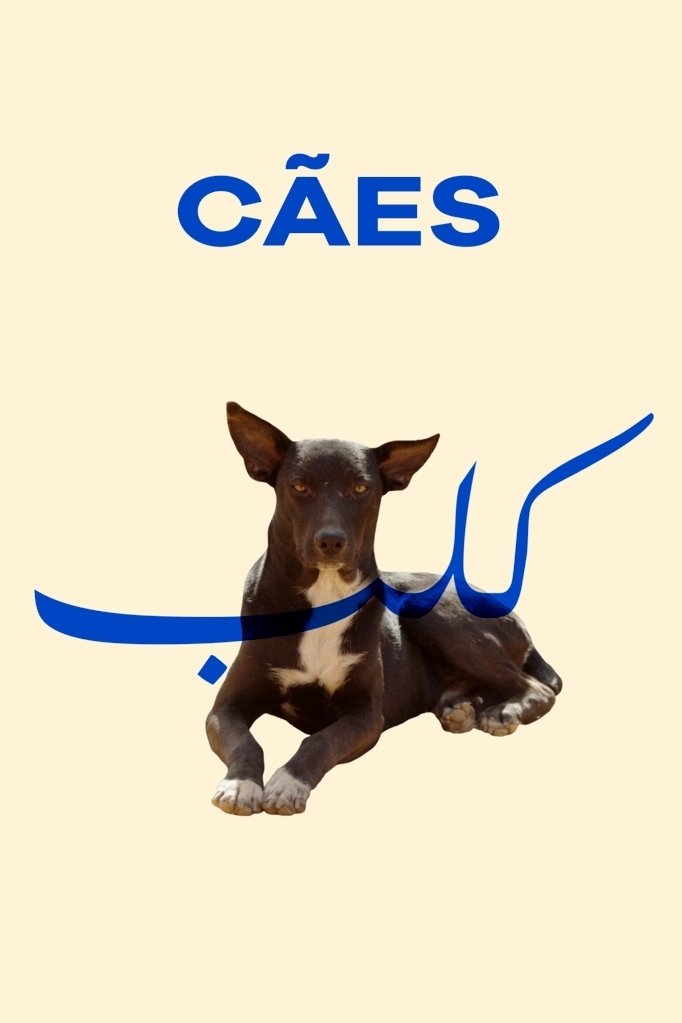 Poster de Cães