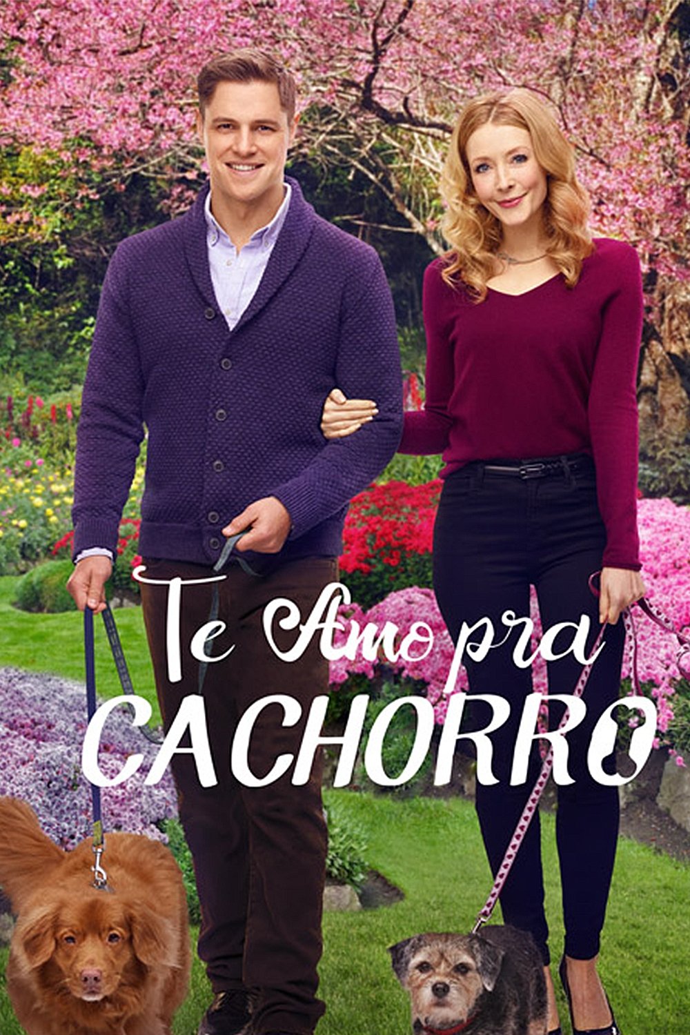 Poster de Te Amo pra Cachorro