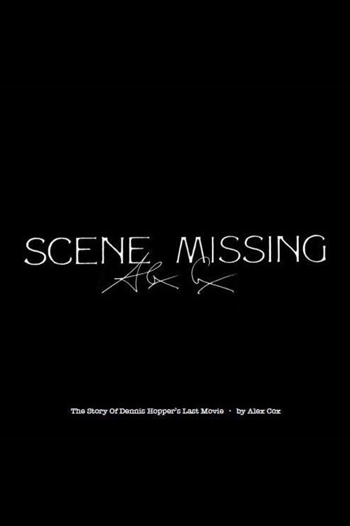 Poster de Scene Missing