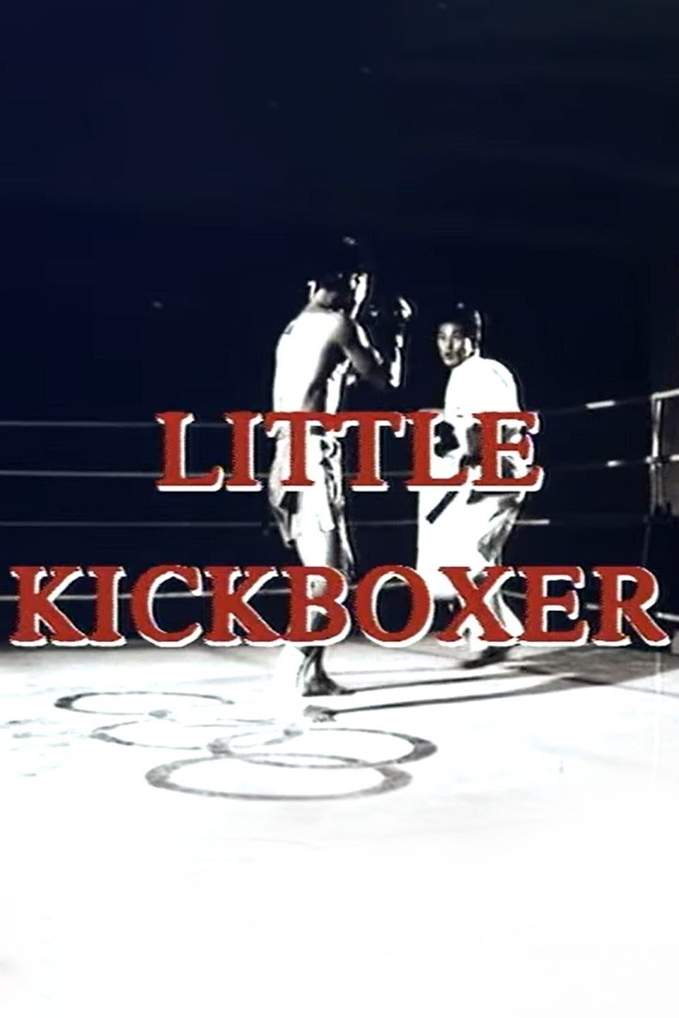 Poster de O Filho do Kickboxer