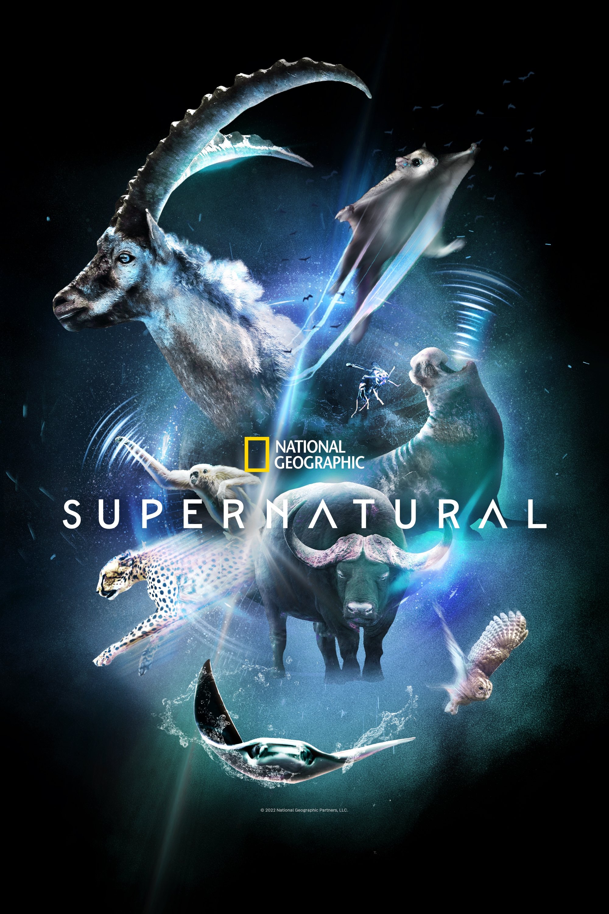 Poster de Super Natural