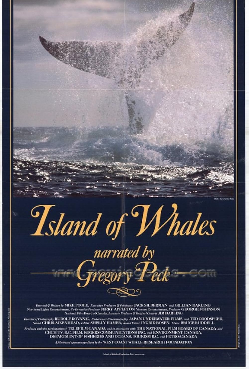 Poster de Island of Whales