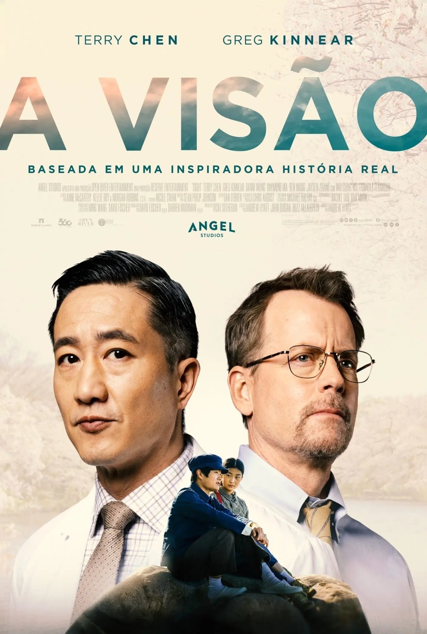 Poster de A Visão