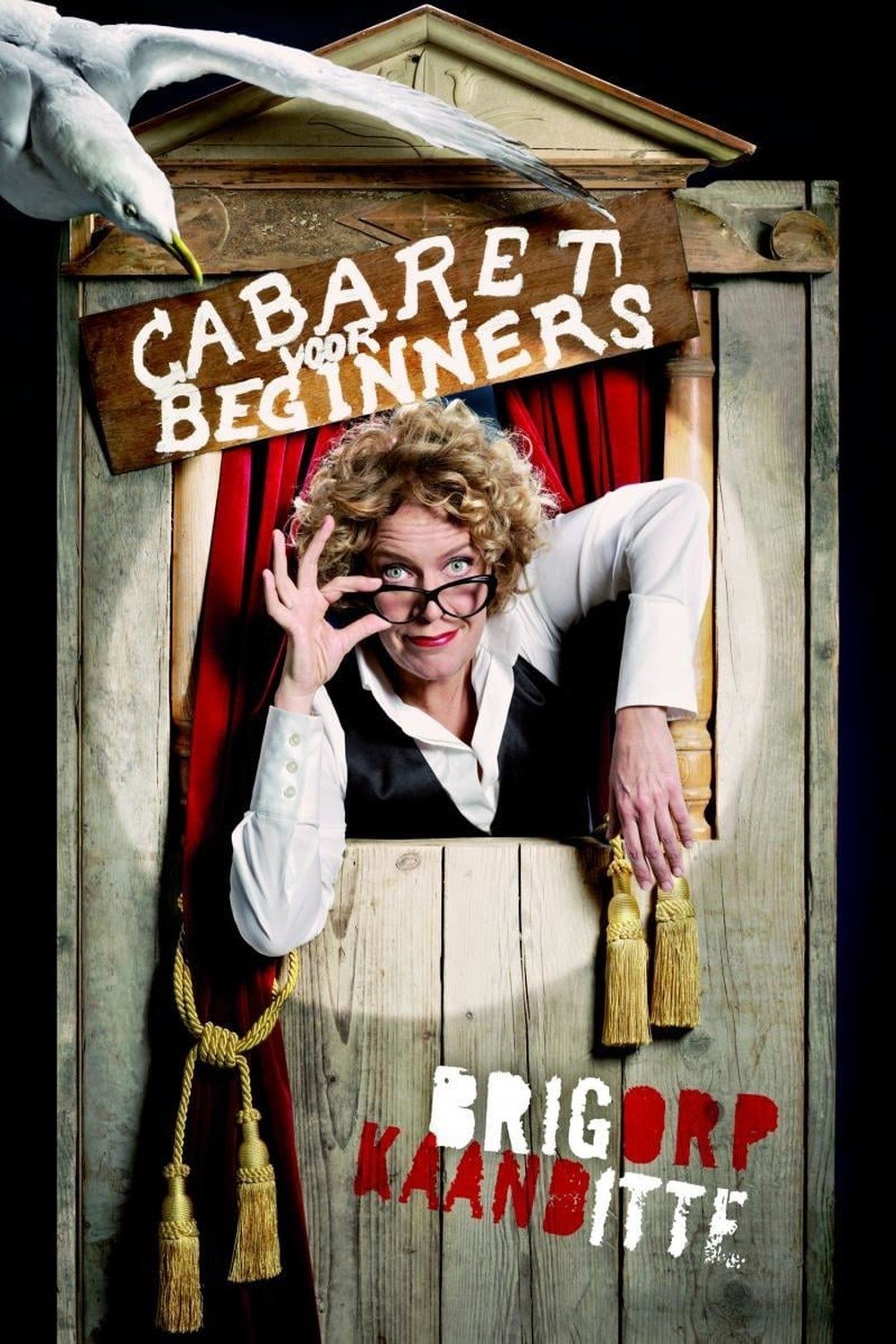 Poster de Brigitte Kaandorp: Cabaret voor beginners
