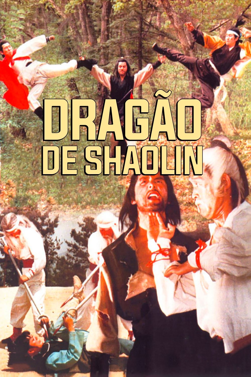 Poster de Dragão de Shaolin