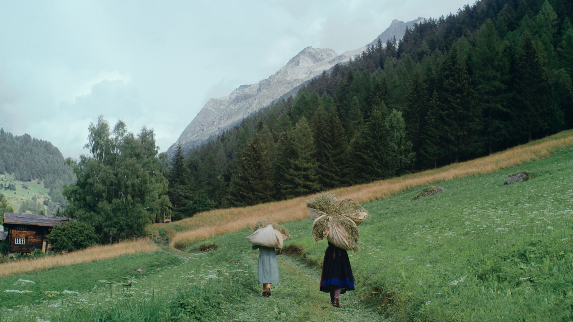 backdrops
