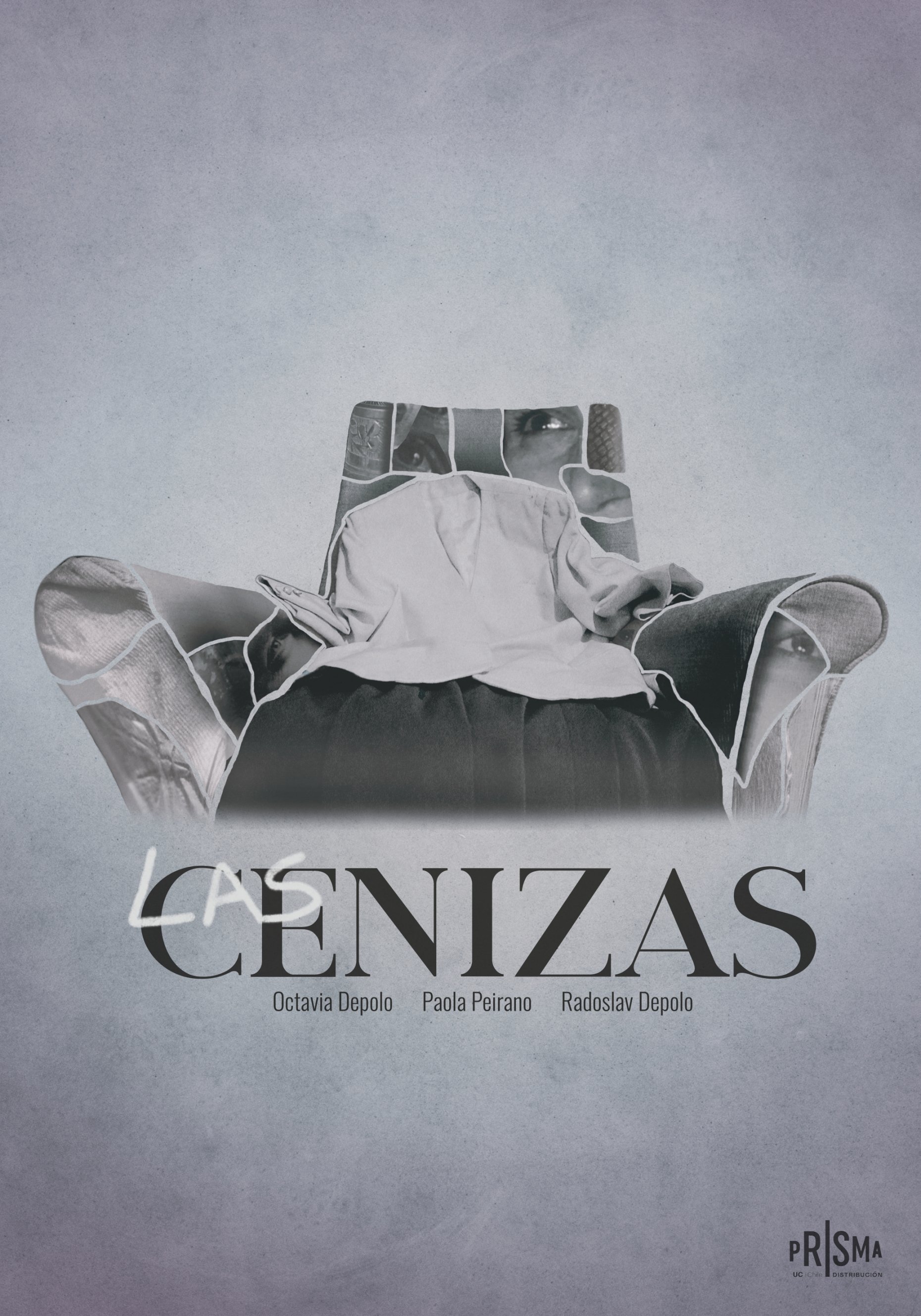 Poster de Las cenizas