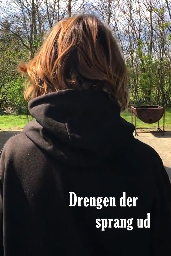 Poster de Drengen der sprang ud