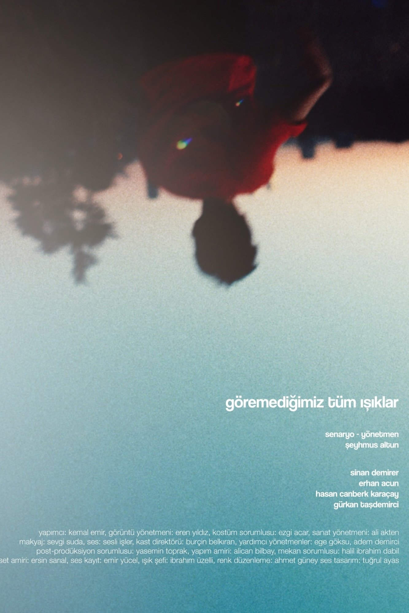 Poster de Göremediğimiz Tüm Işıklar