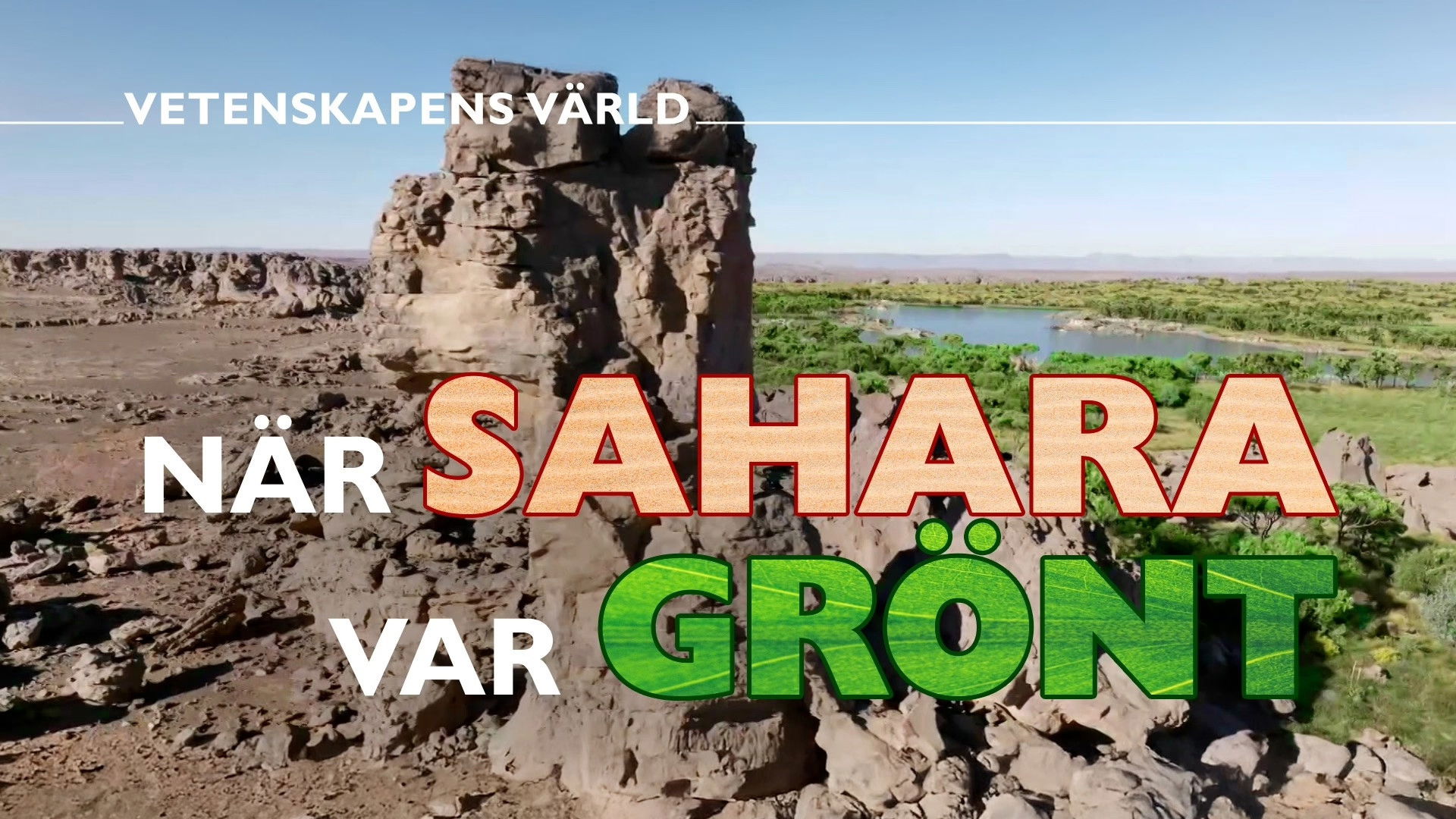 When Sahara was green