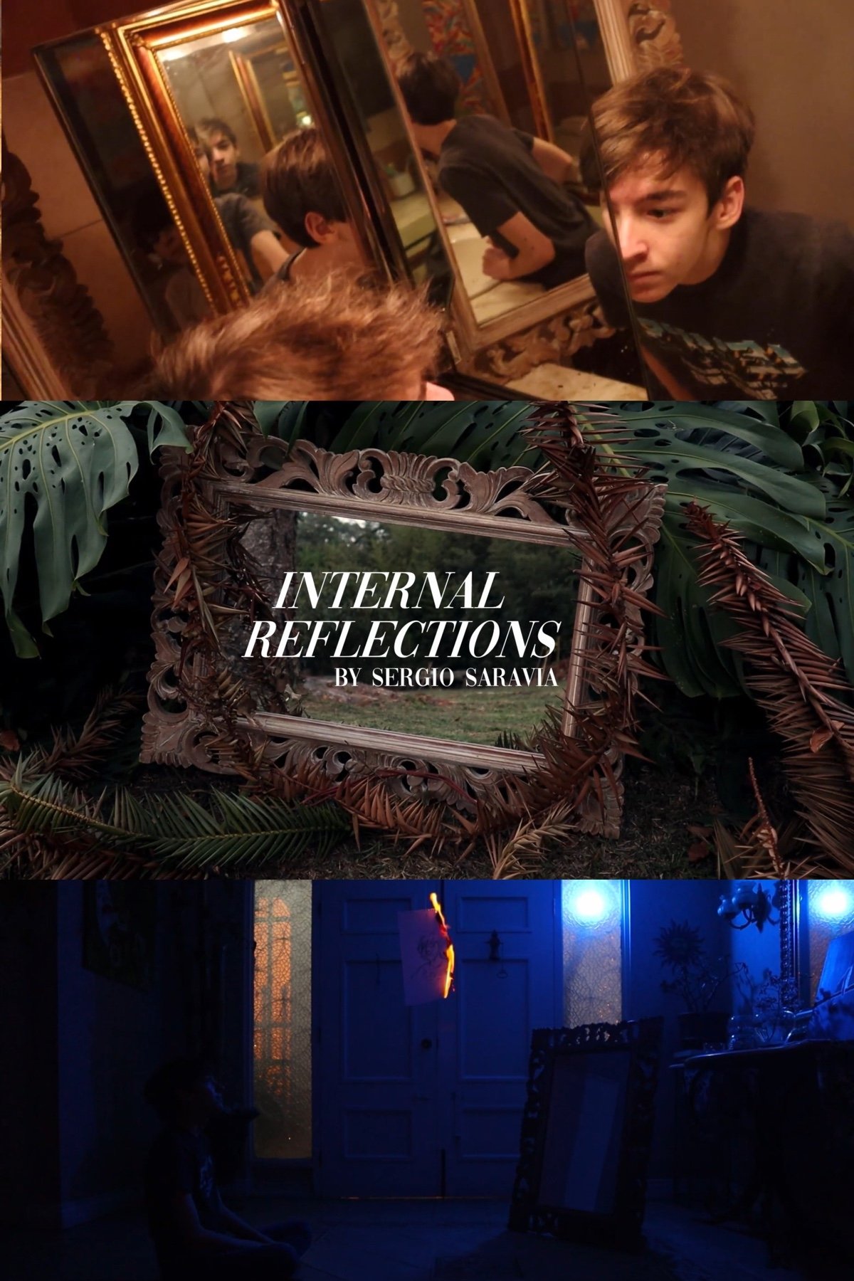 Poster de Internal Reflections
