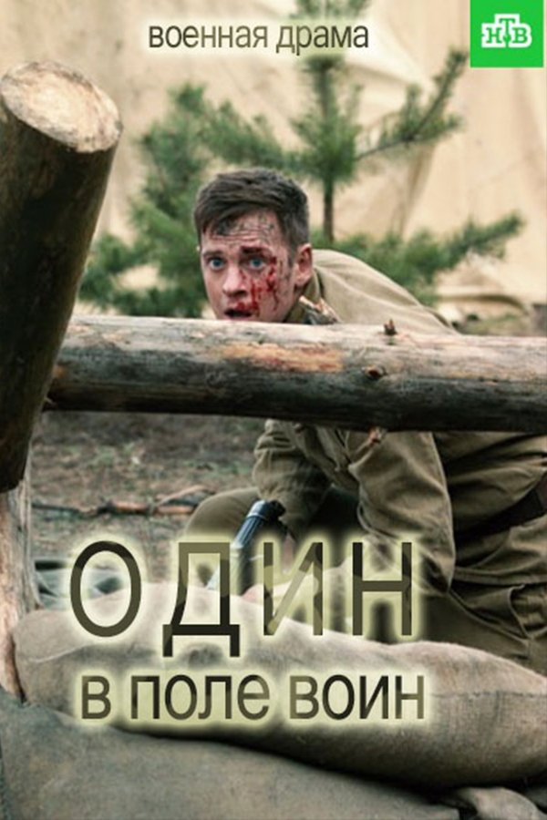 Poster de Один в поле воин