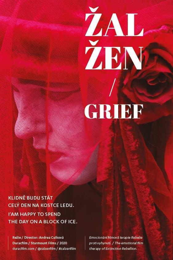 Poster de Žal žen