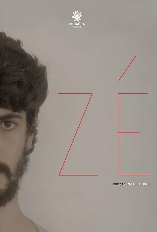 Poster de Zé
