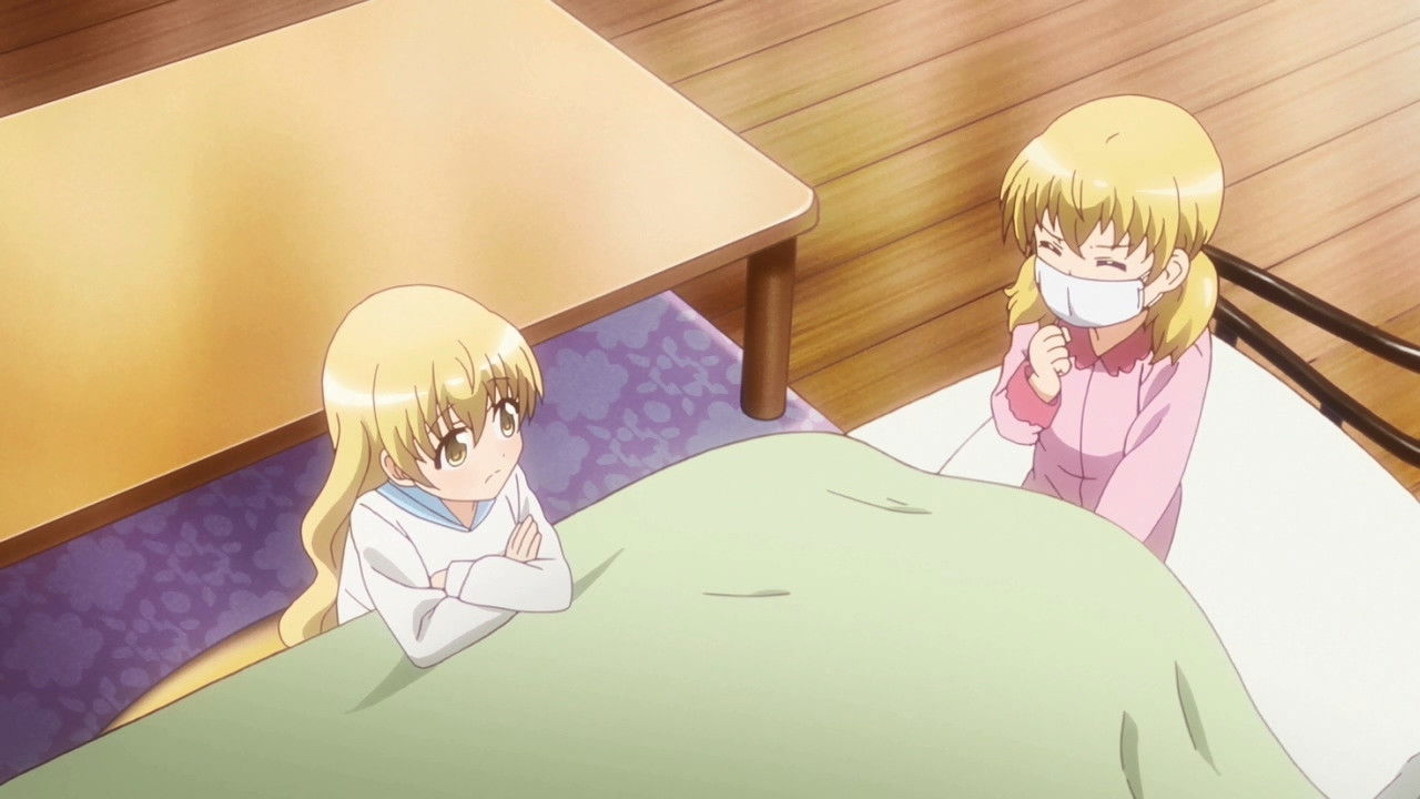 Mushrooms Are Good For You!