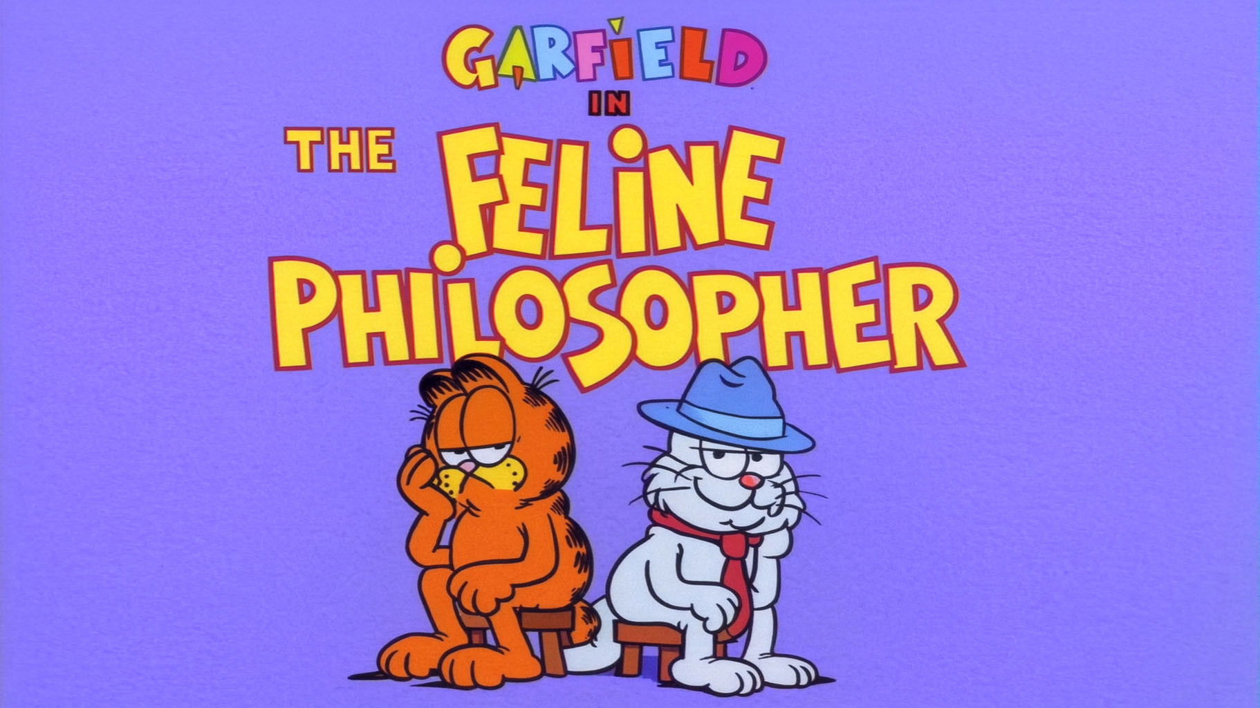The Feline Philosopher