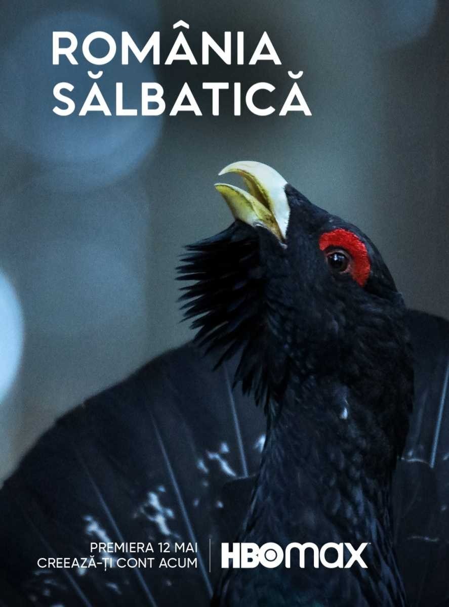 Poster de România Sălbatică