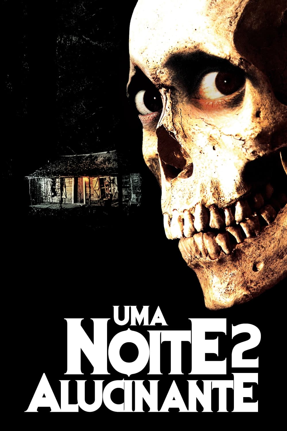 Poster de Uma Noite Alucinante 2