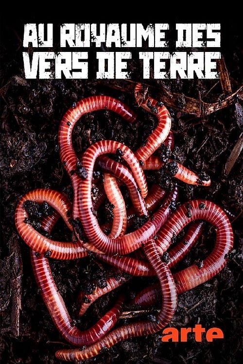 Poster de Au royaume des vers de terre: La vie du sol dévoilée