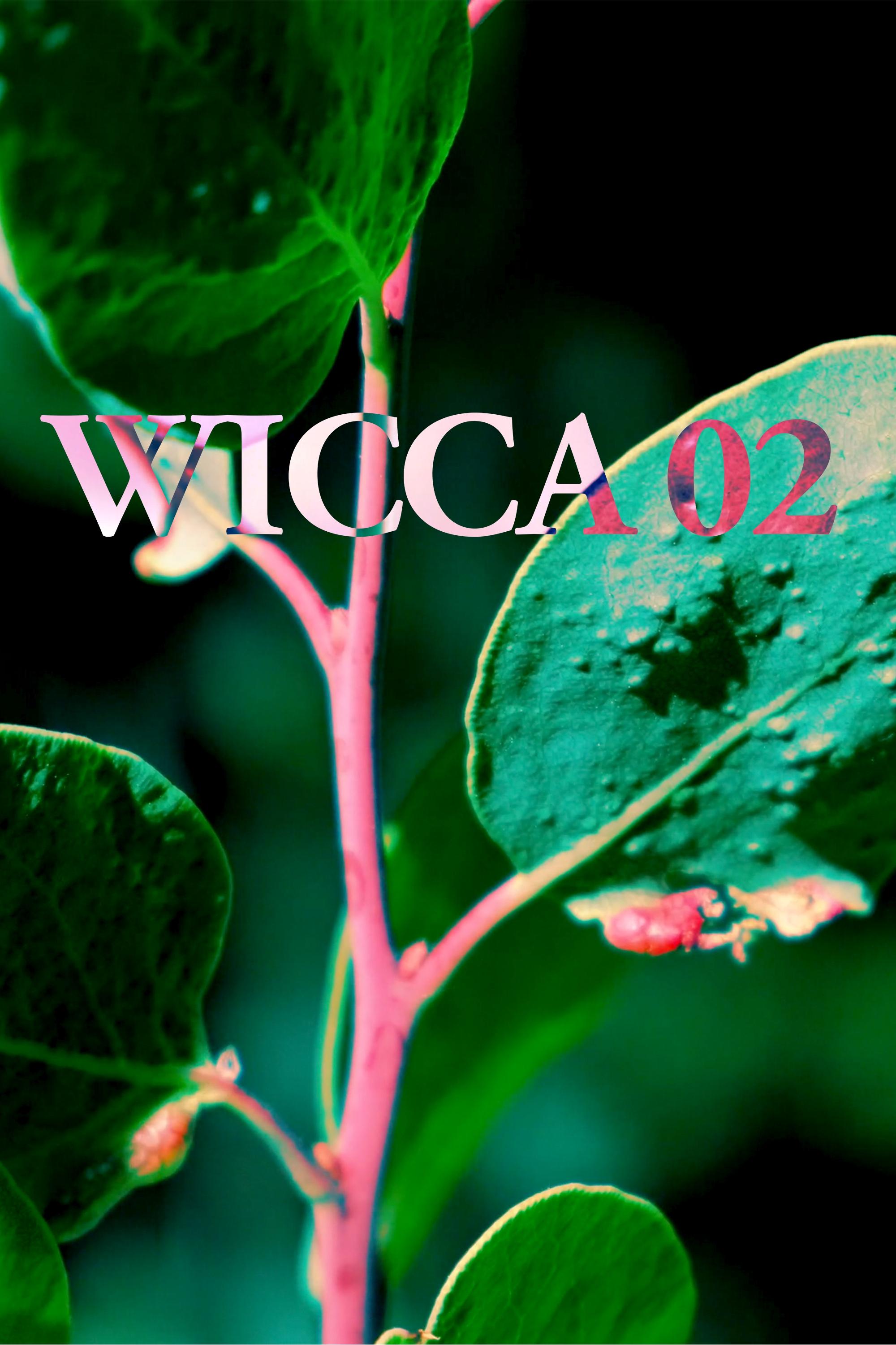 Poster de WICCA_02