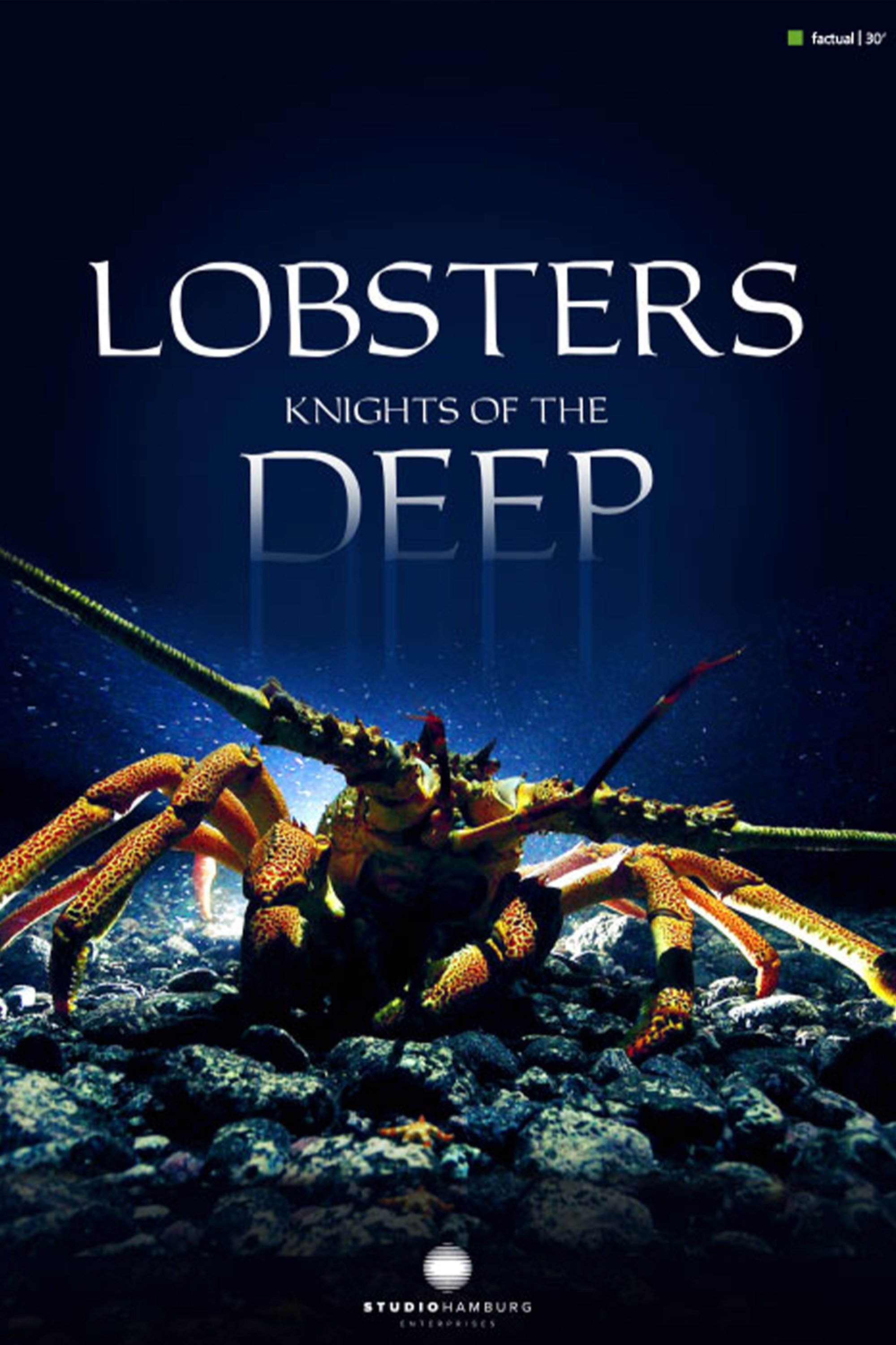 Poster de Lobsters - Knights of the deep