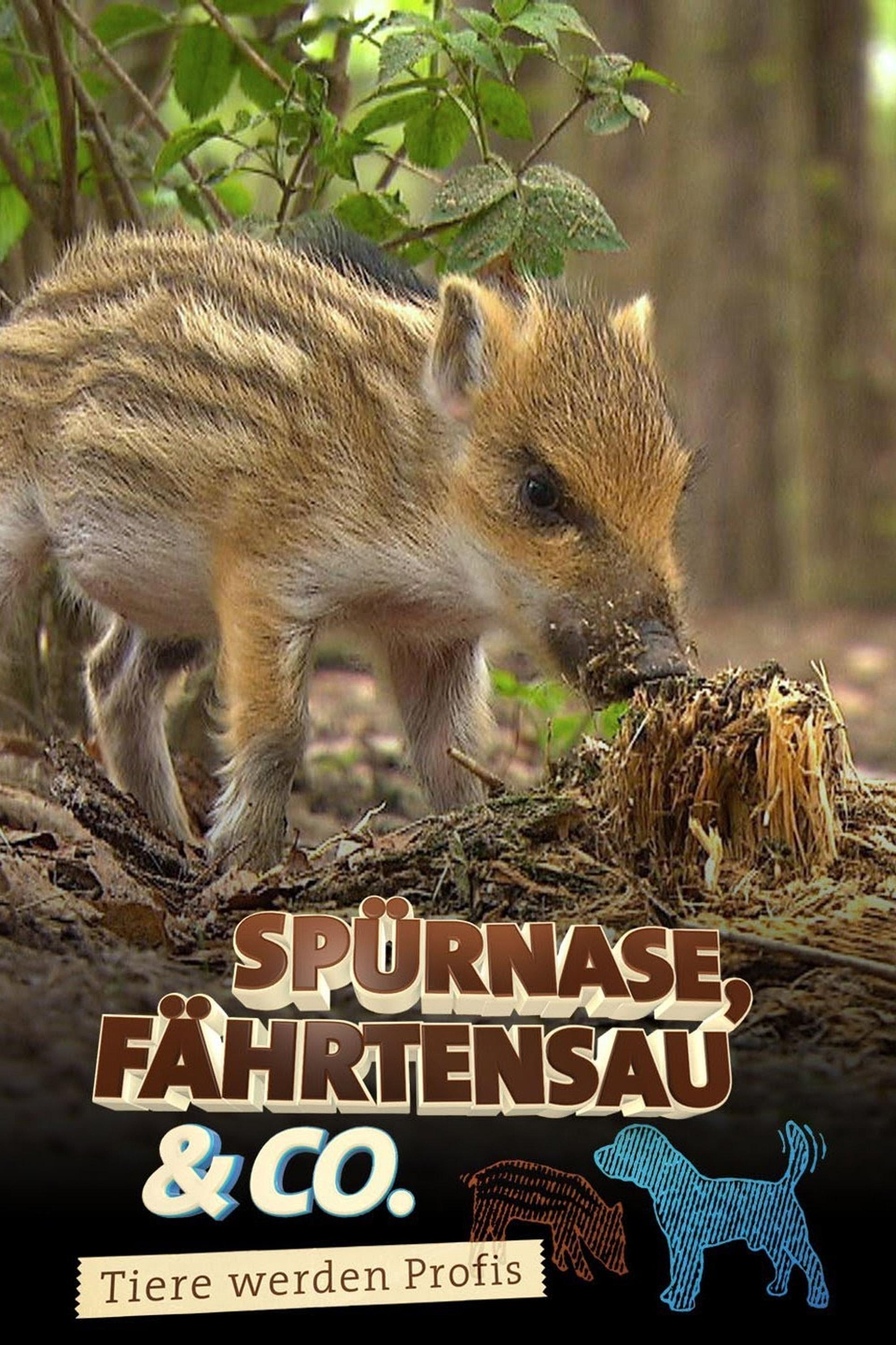 Poster de Spürnase, Fährtensau & Co.