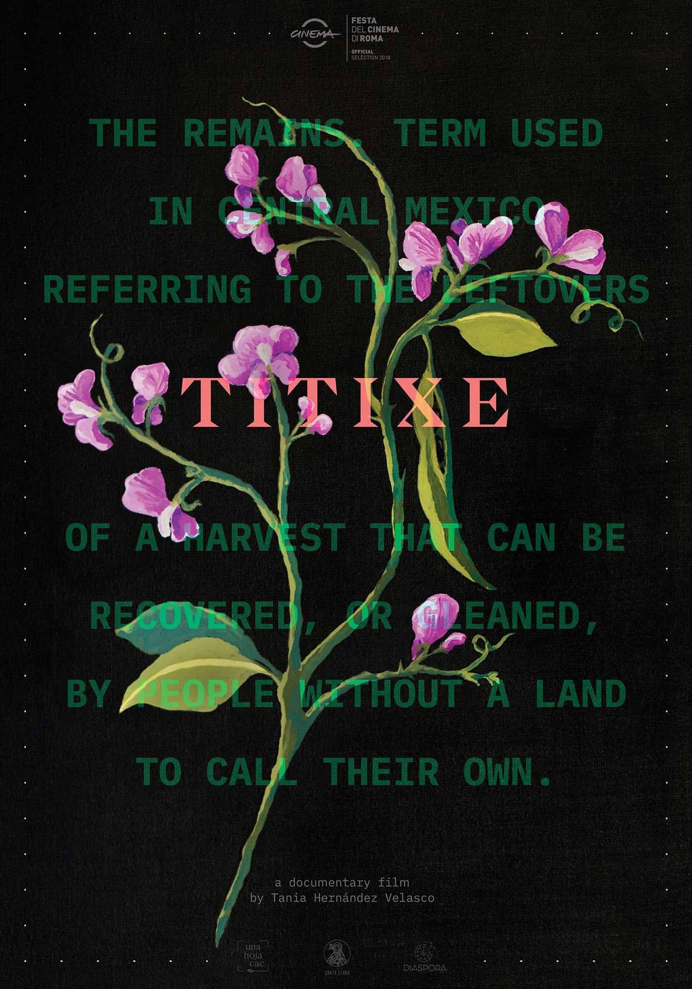 Poster de Titixe