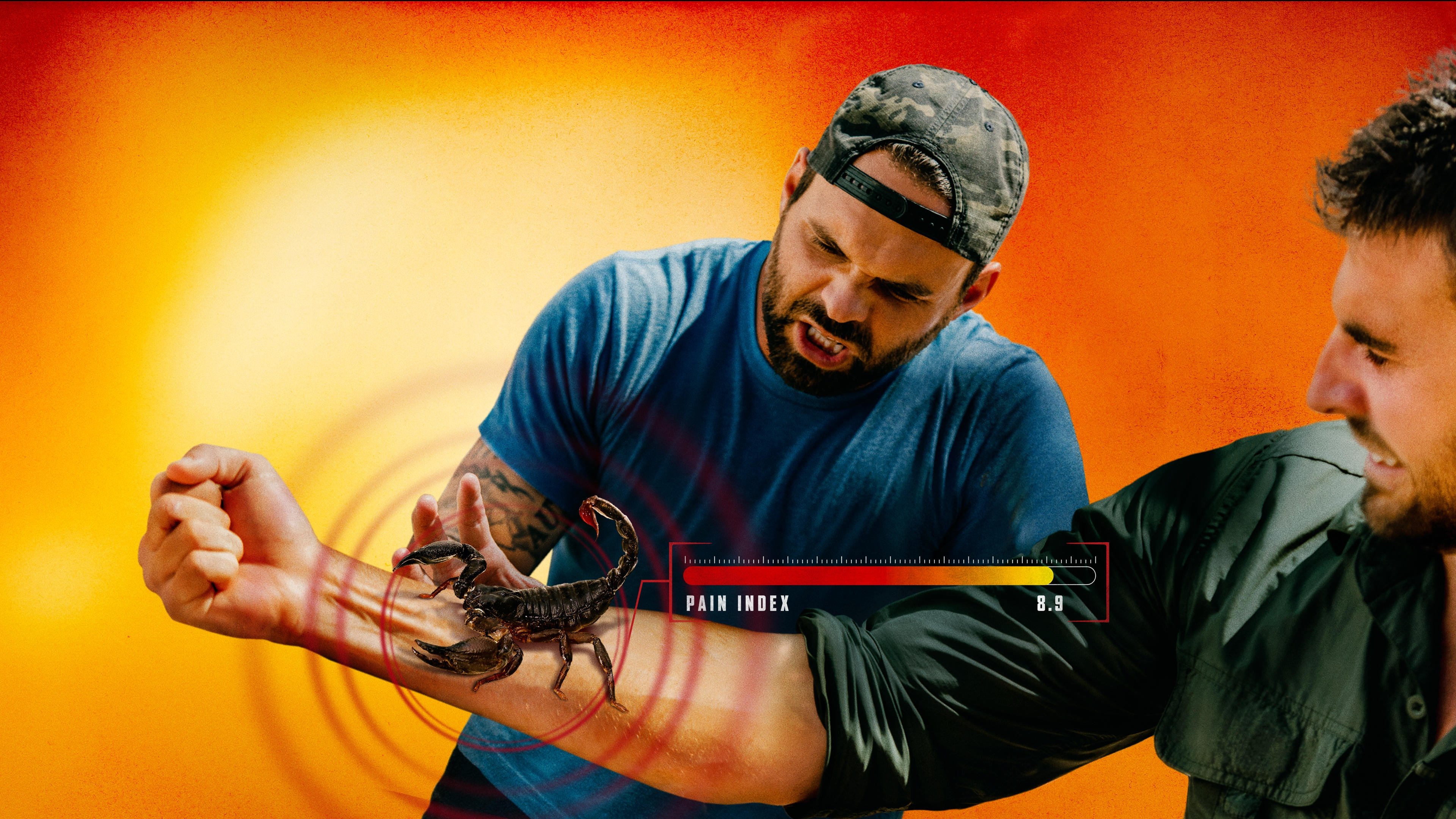 Backdrop image
