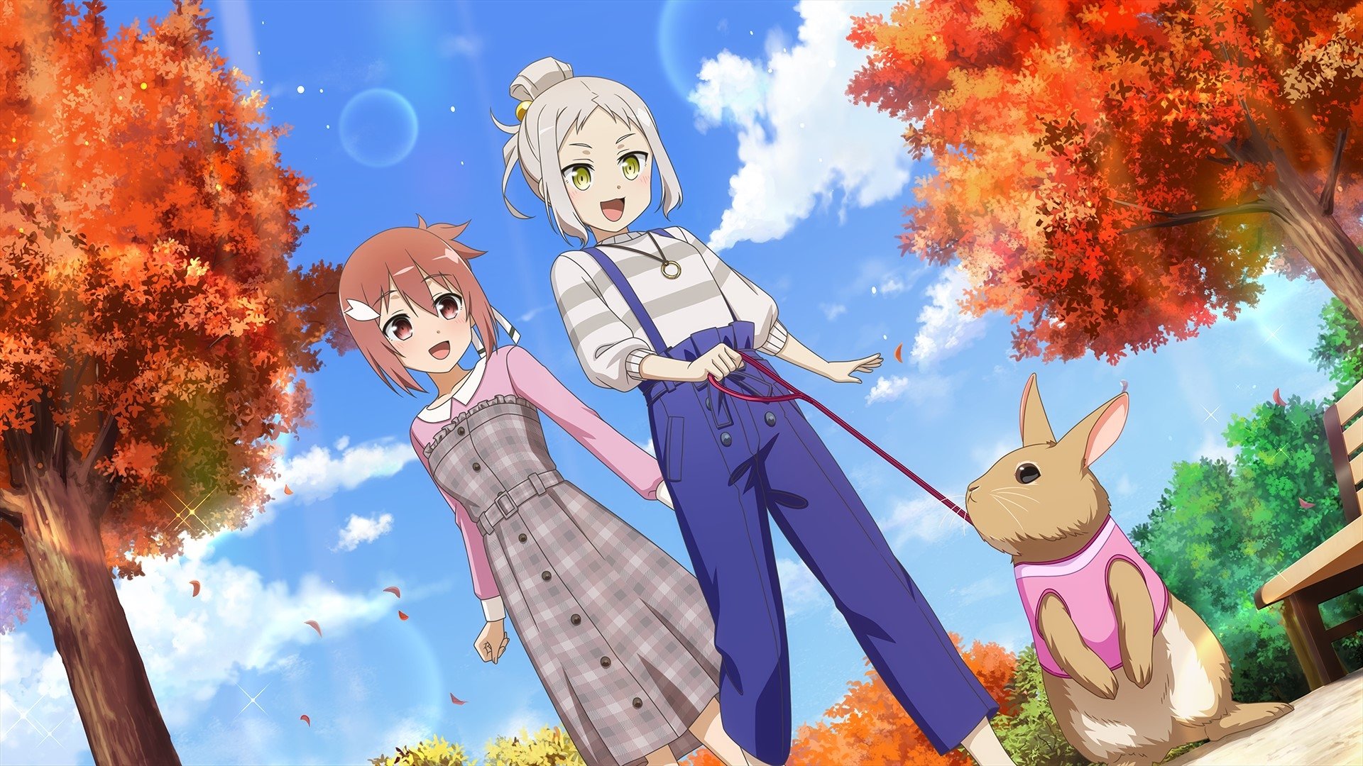 Backdrop image