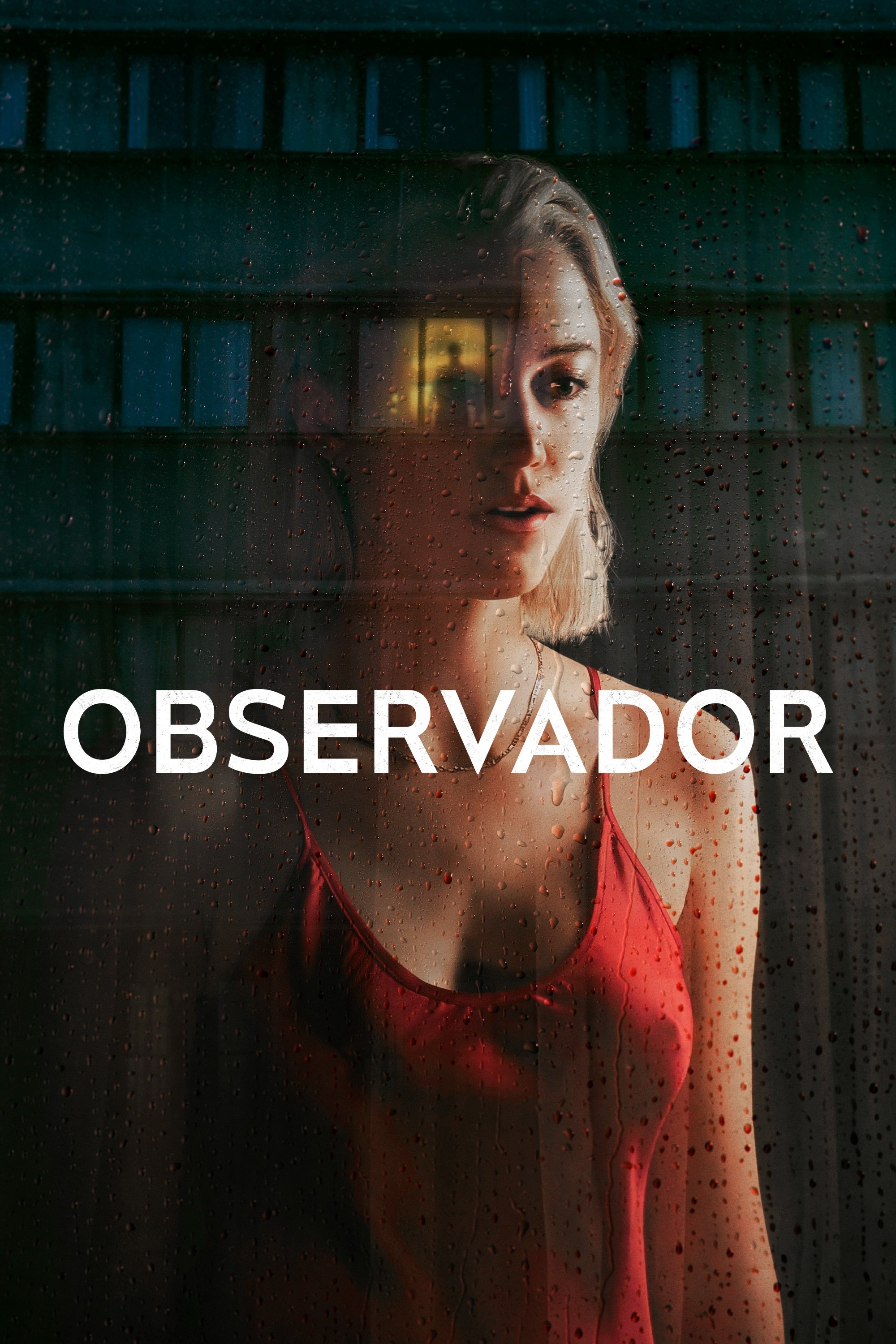 Poster de Observador