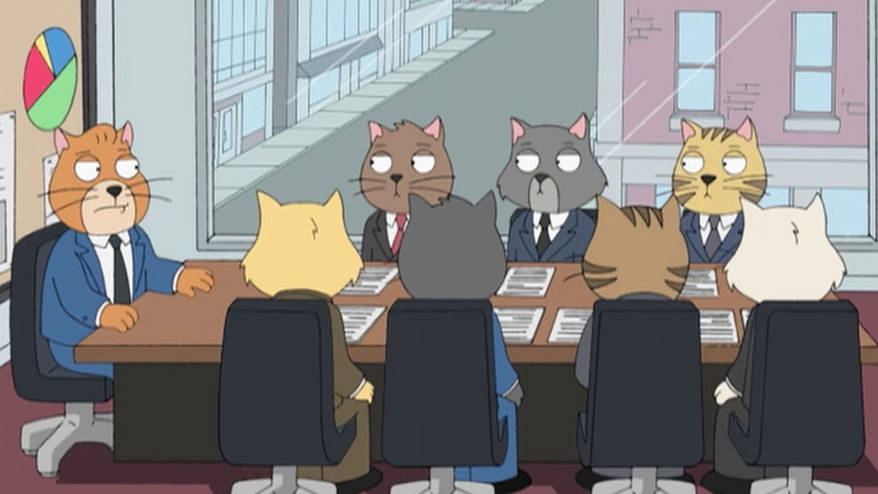 Cat Staff Meeting