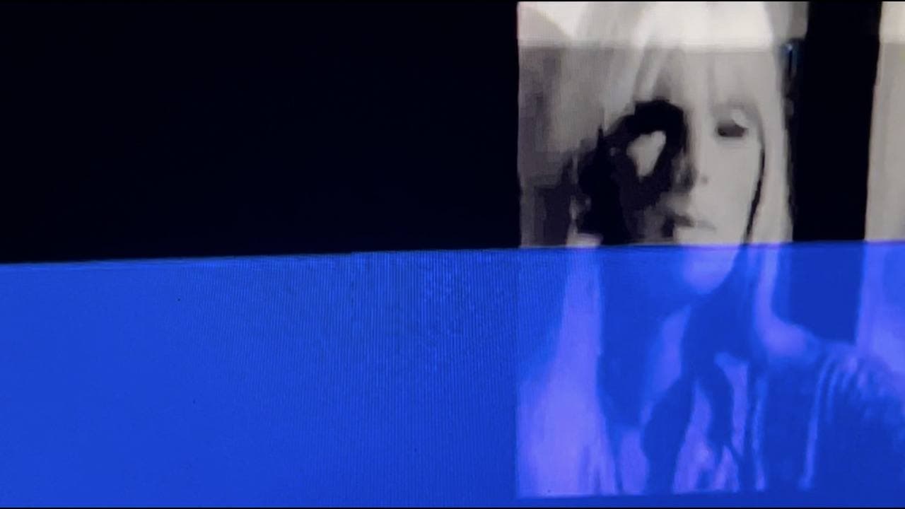 Backdrop
