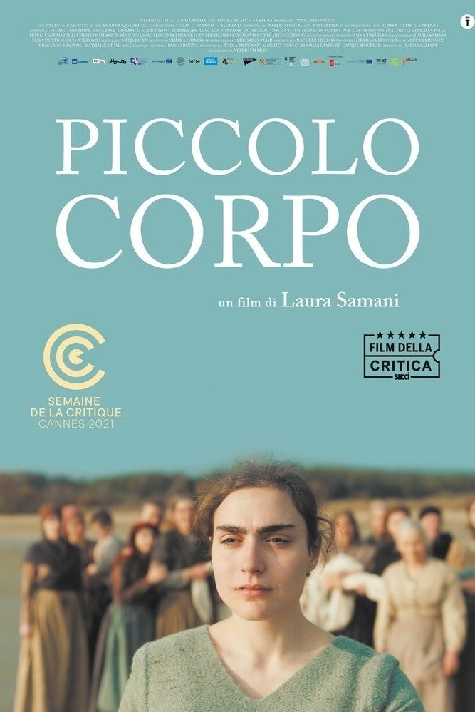 Poster de O Pequeno Corpo