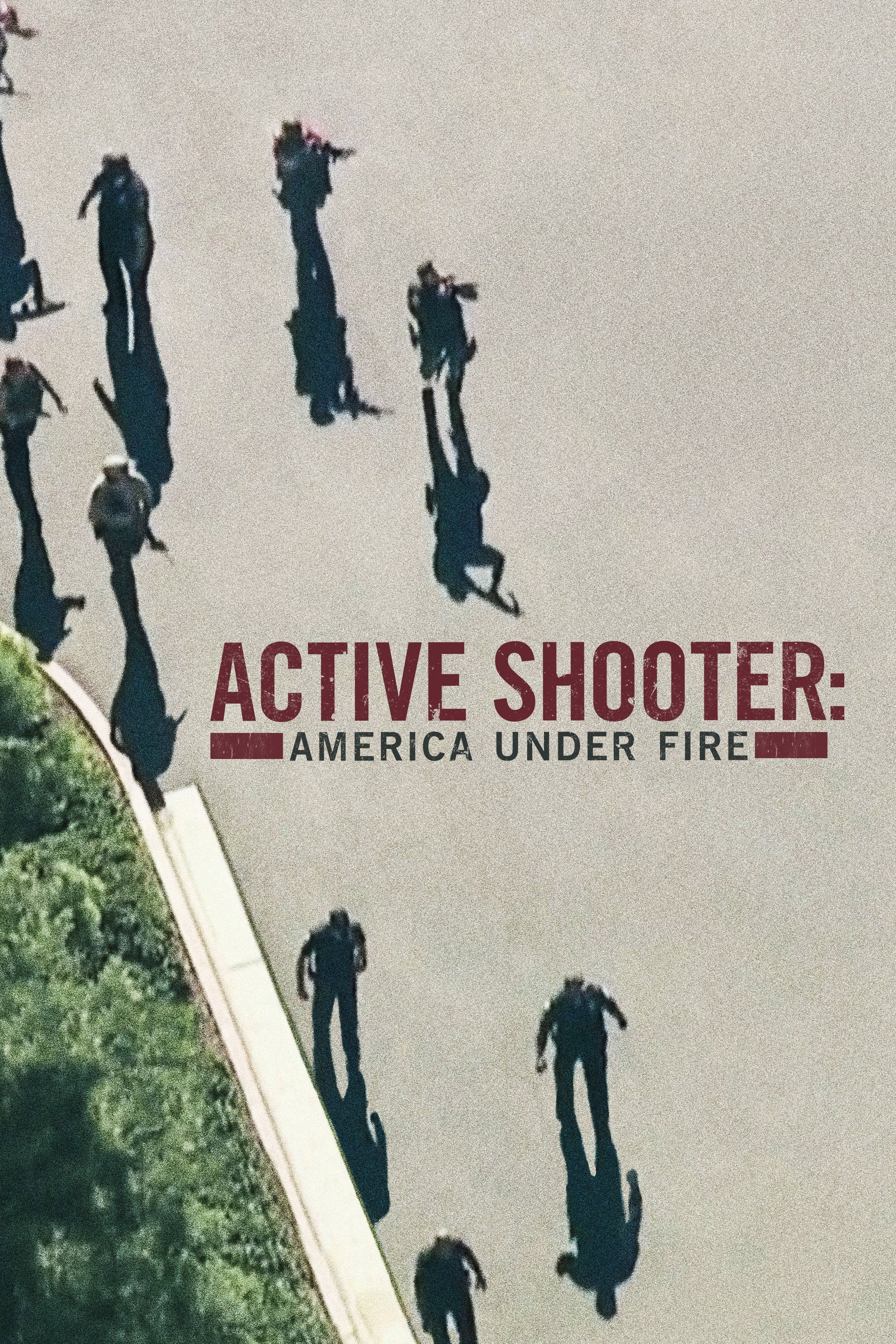 Poster de Active Shooter: America Under Fire