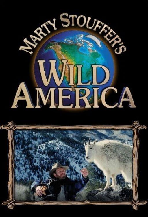 Poster de Marty Stouffer's Wild America