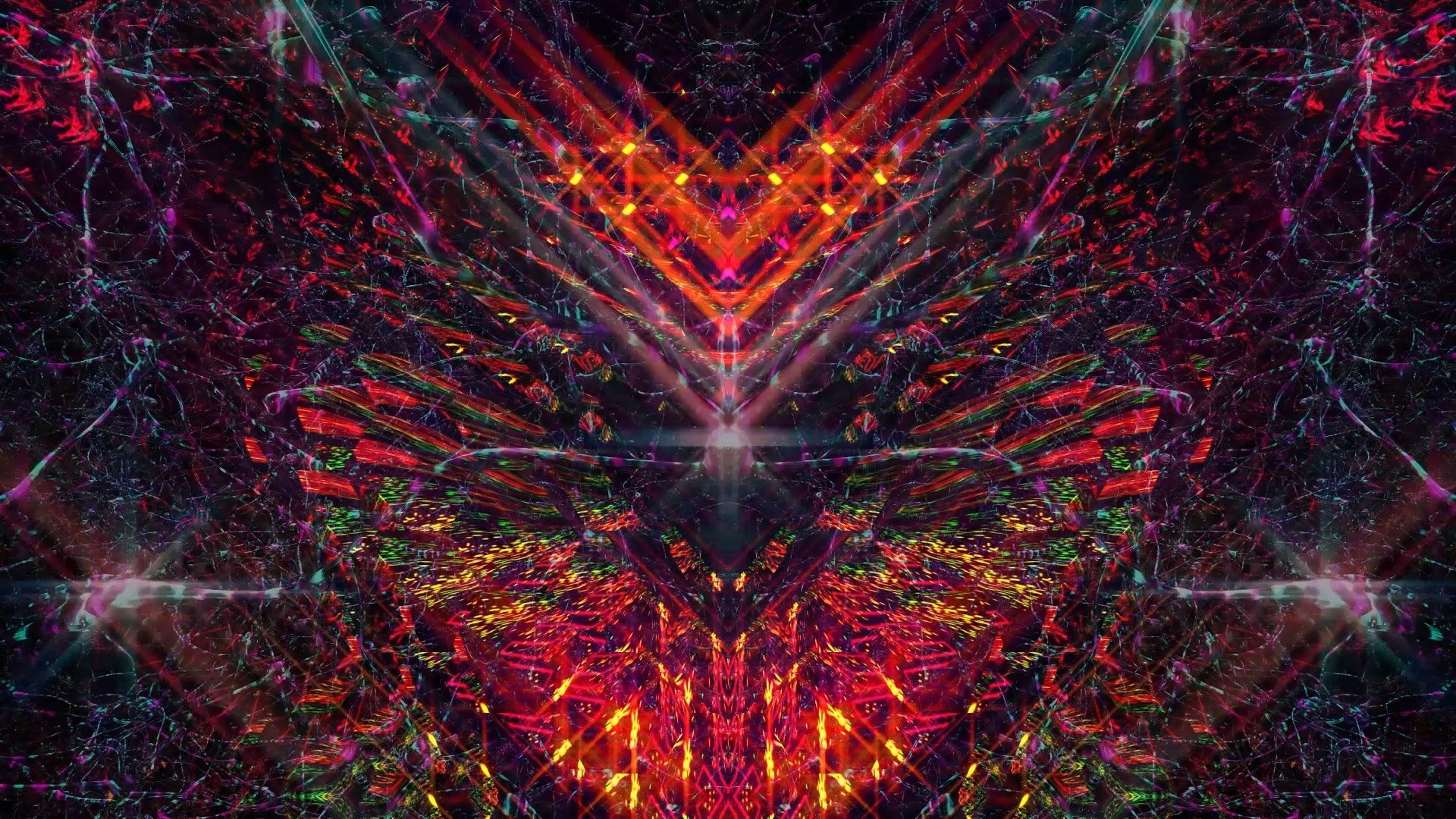 Bufo Alvarius – The Underground Secret