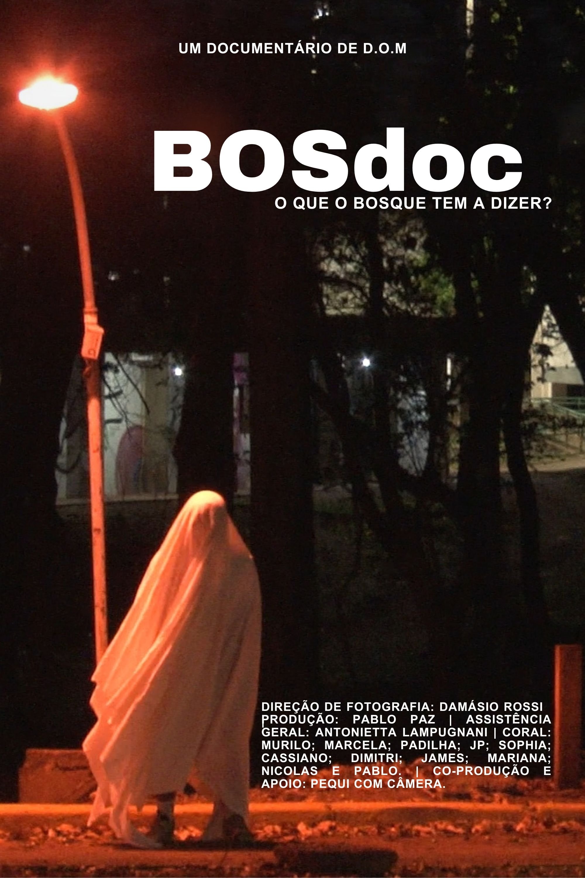 Poster de BOSdoc