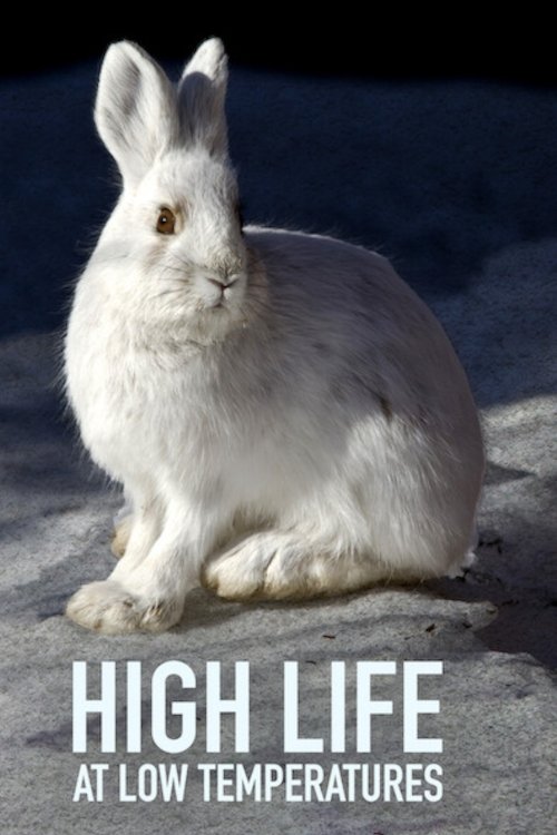 Poster de Lungau - Wildnis im Herzen der Tauern