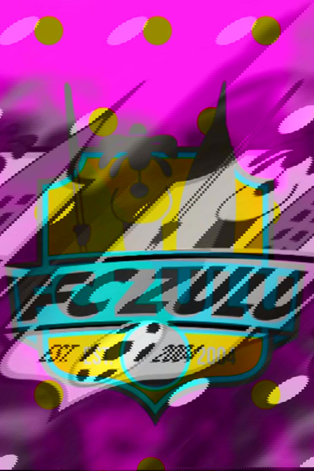 Poster de FC Zulu