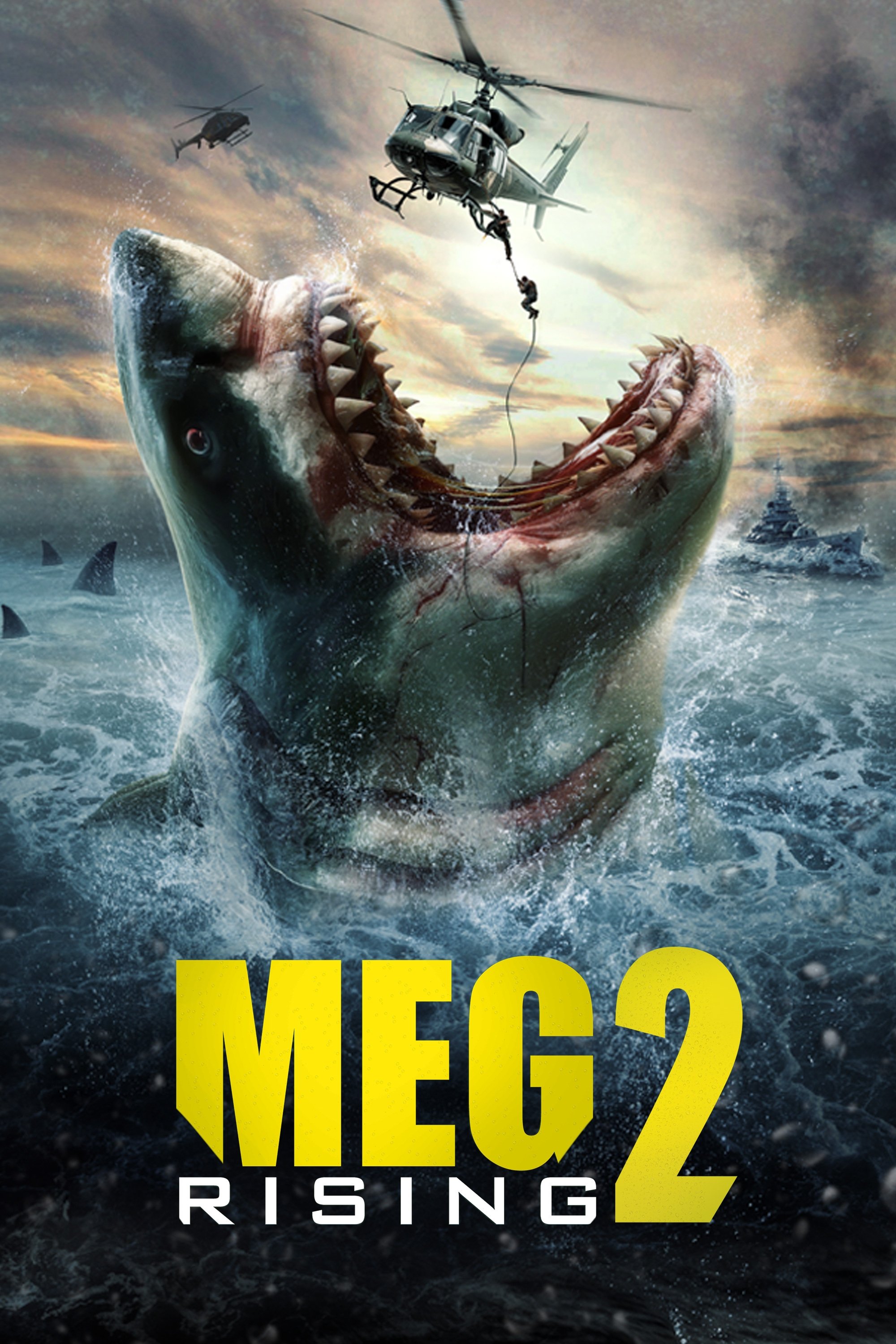 Affiche du film Meg Rising 2