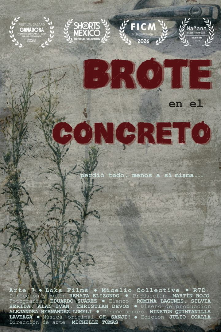 Brote en el concreto