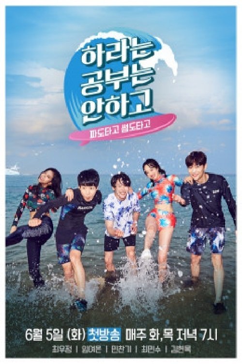Poster de 하라는 공부는 안하고