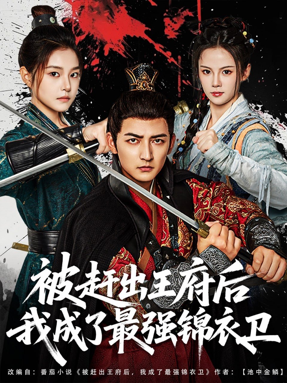 Poster de 被赶出王府后我成了最强锦衣卫