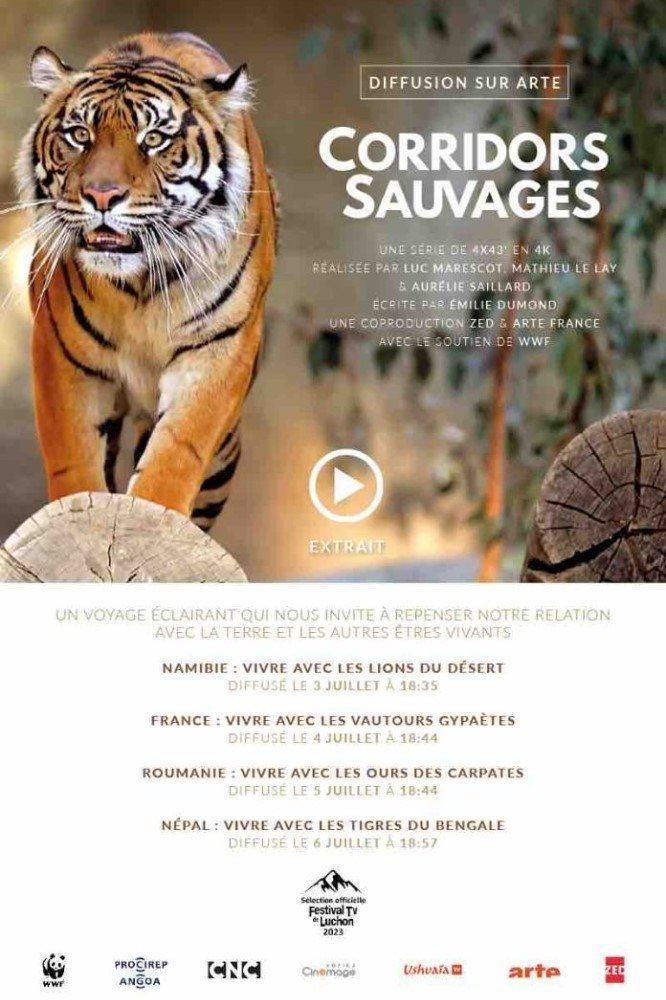 Poster de Corridors sauvages