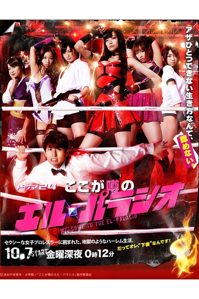 Poster de ここが噂のエル・パラシ