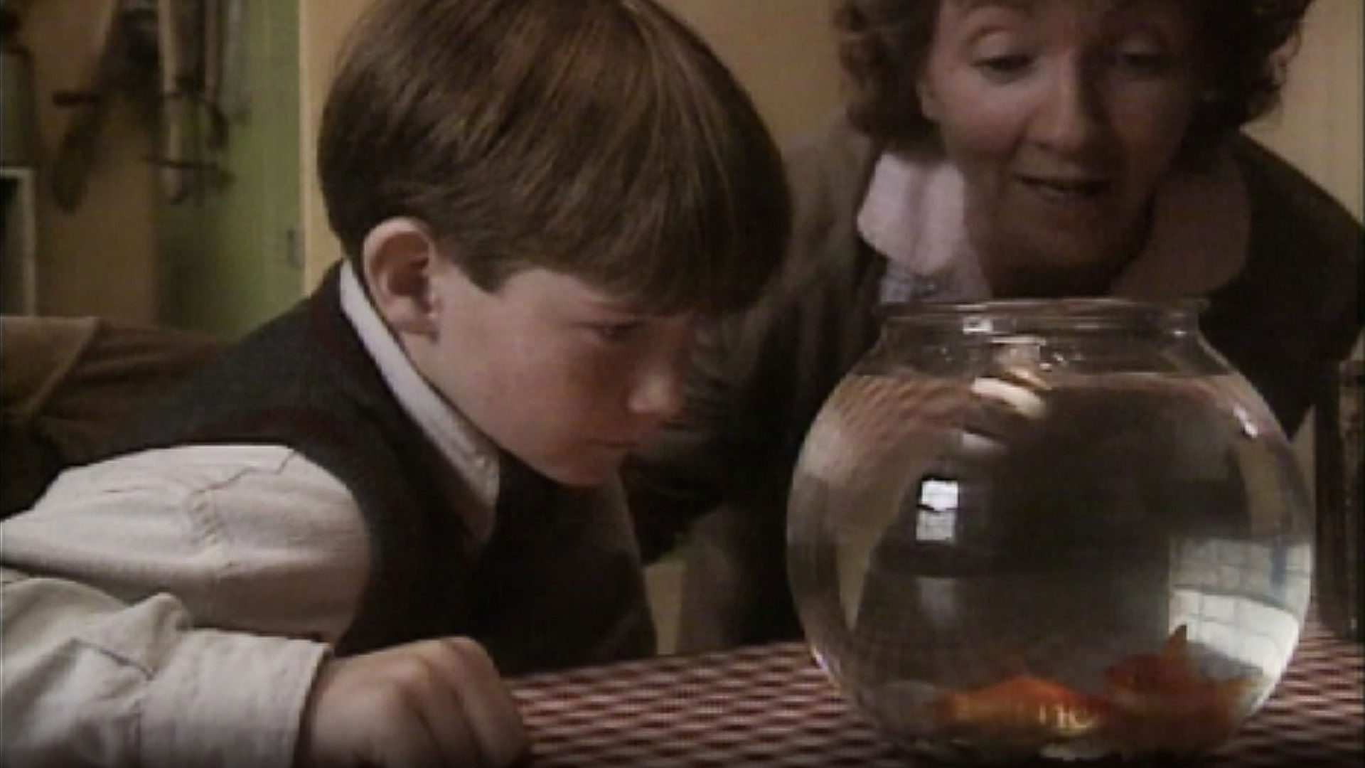 Big Fish, Little Fish