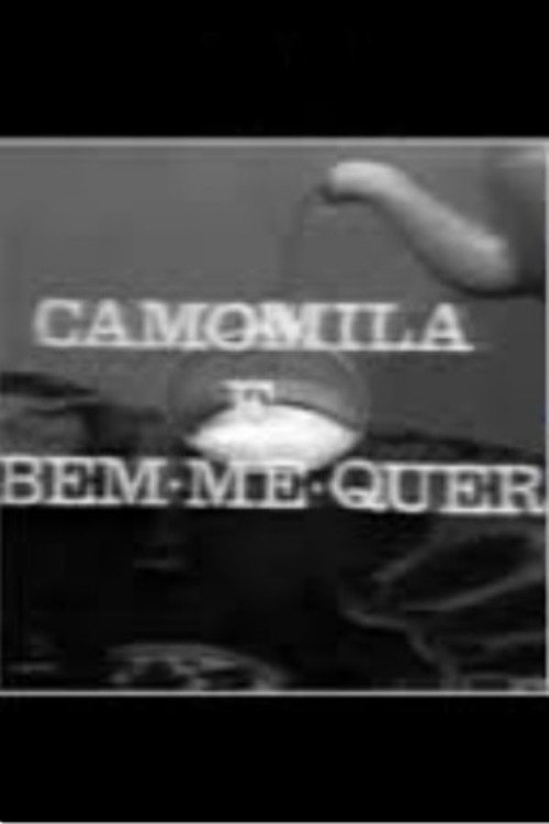 Poster de Camomila e Bem-Me-Quer