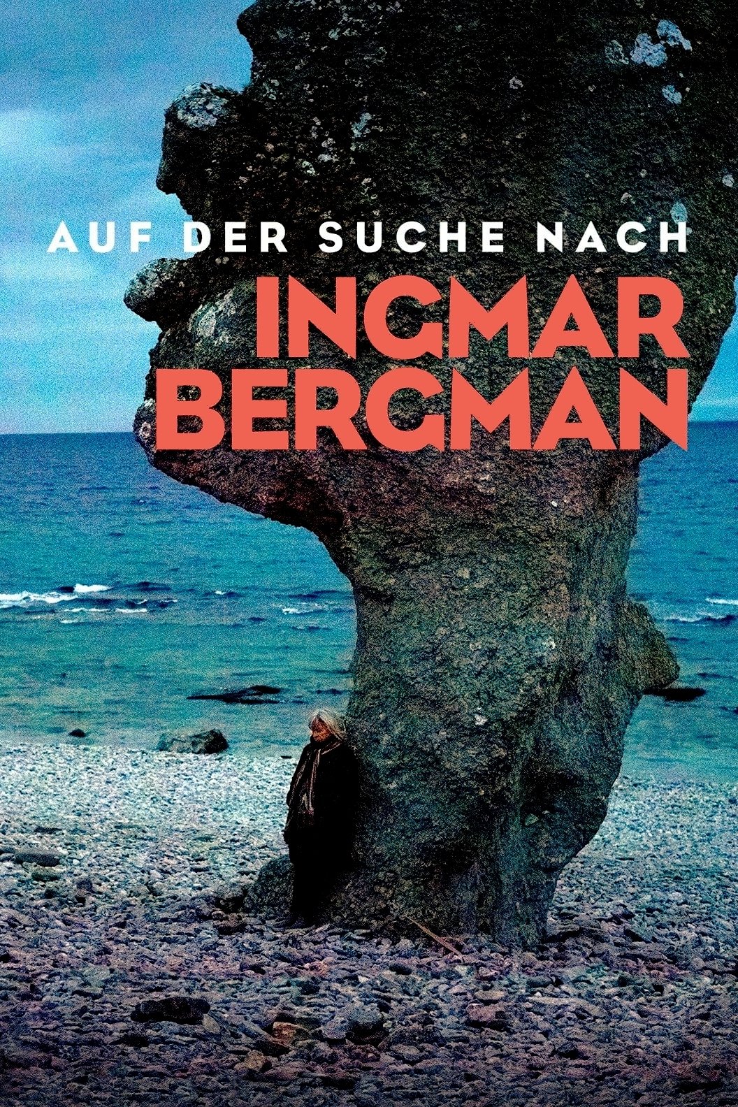 Poster de Procurando por Ingmar Bergman